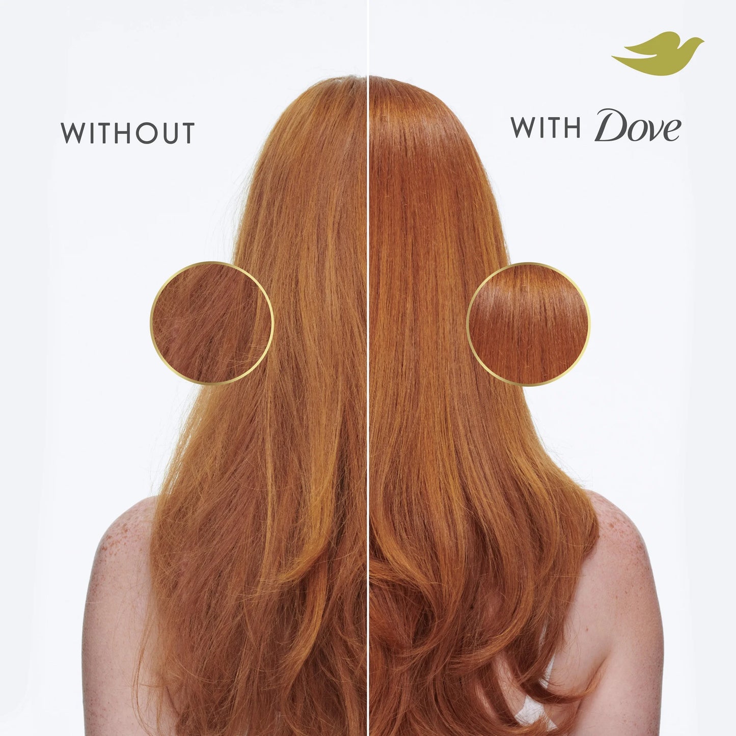 Intensive Repair Shampoo & Conditioner Set, 12 Fl Oz 2 Count