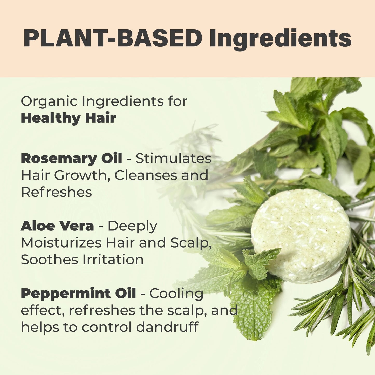 Rosemary Mint Herbal Solid Shampoo Bar for Hair Growth Handmade in USA Natural and Safe by