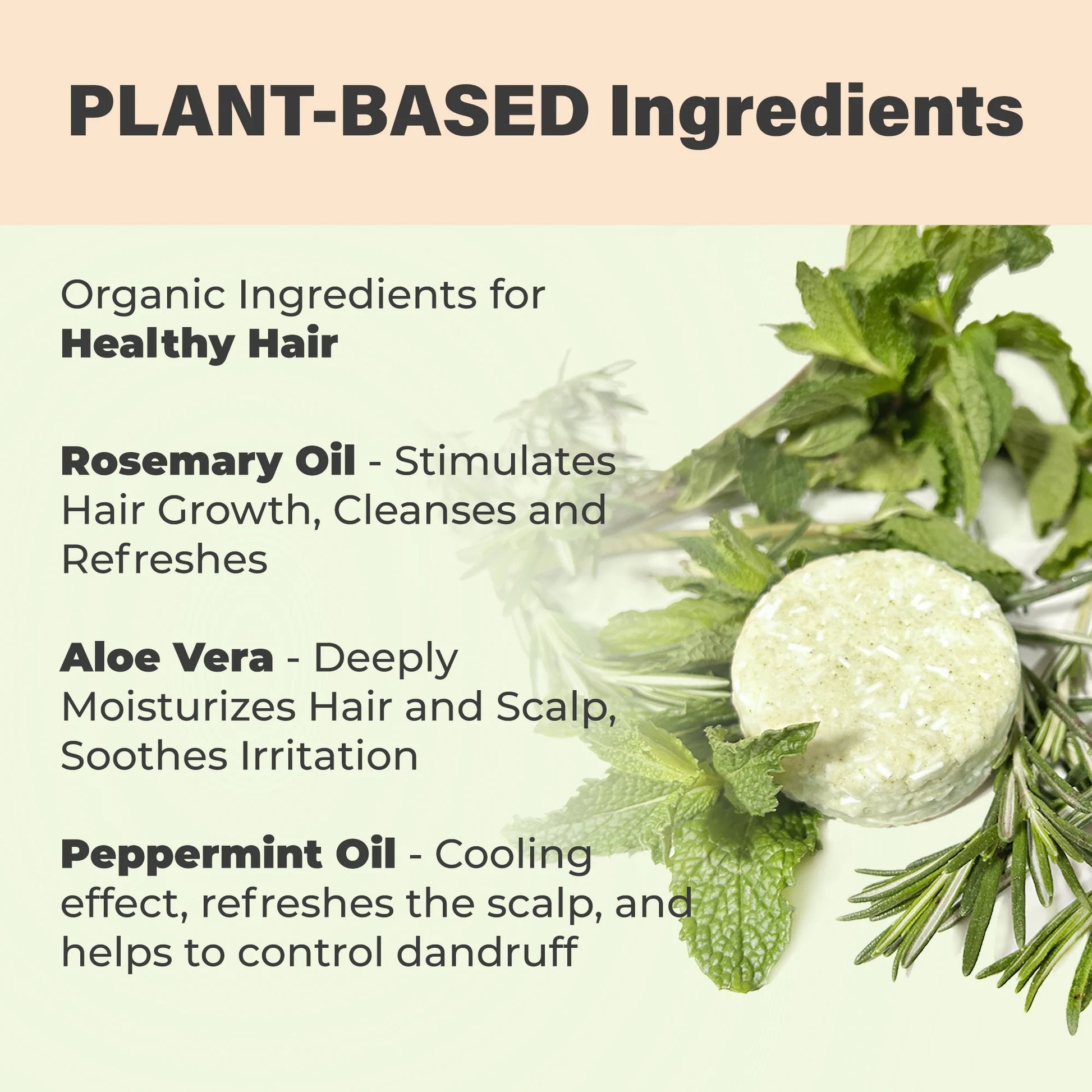 Rosemary Mint Herbal Solid Shampoo Bar for Hair Growth Handmade in USA Natural and Safe by